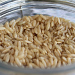 Blueberry Biscuits Recipe - Terri's Little Haven