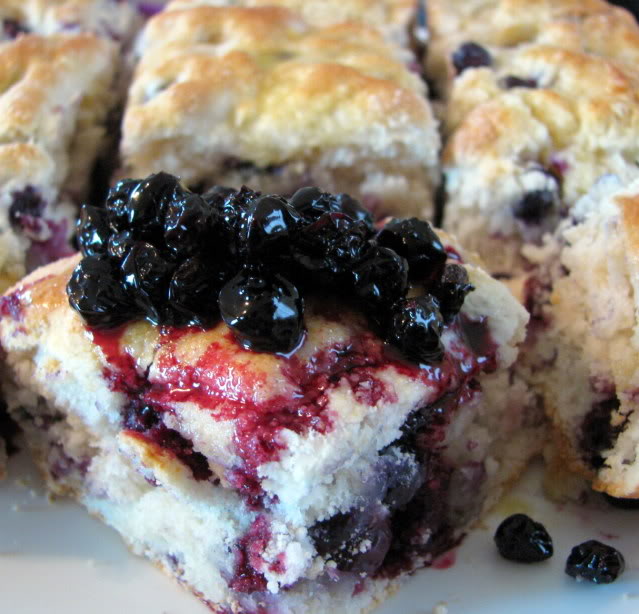 Blueberry Biscuits Recipe Terri's Little Haven