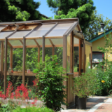 Bring A Little More Wildlife Into Your Back Yard - Terri's Little Haven