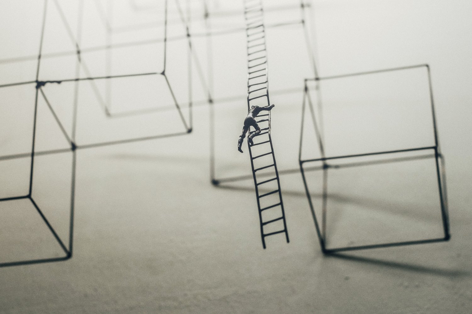 Up A Rung: Climbing The Ladder In Your Career