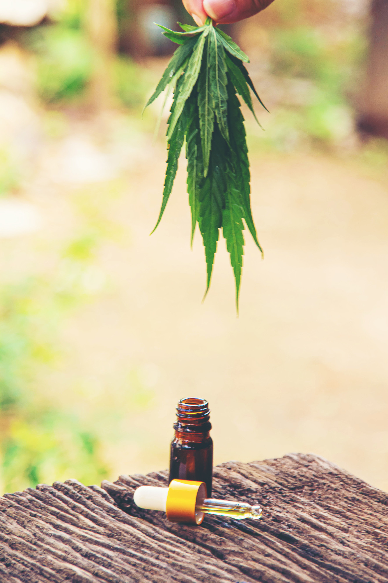 Know Your Dose: How to Find Your Optimal CBD Oil Dosage