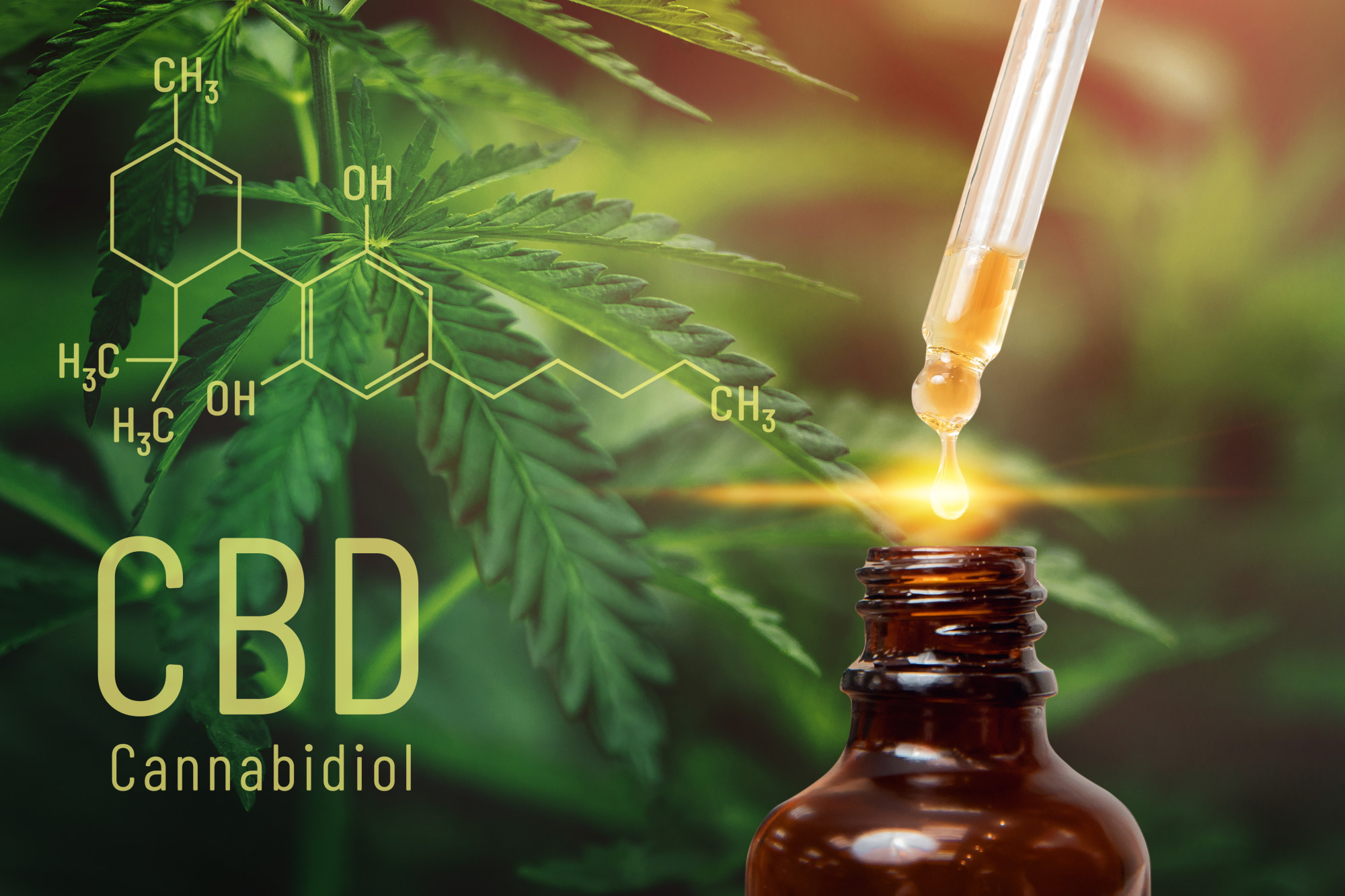 How Does CBD Make You Feel? Facts About CBD and Why It Doesn't Get You High