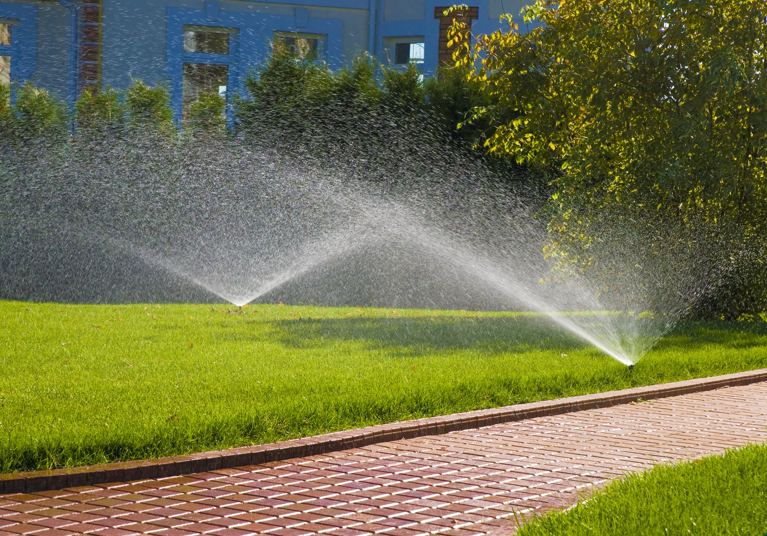 Why Should you Choose Commercial Irrigation Systems?