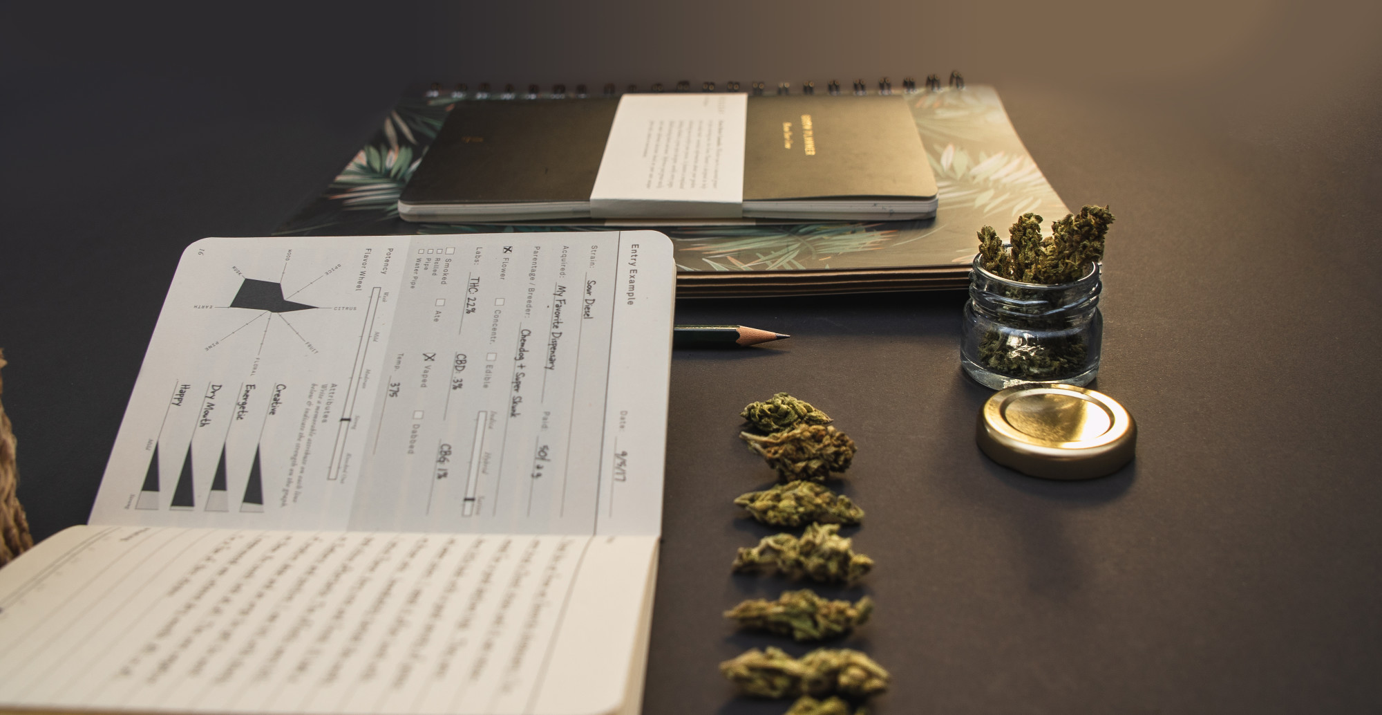 Your Step by Step Guide to Writing a Cannabis Business Plan