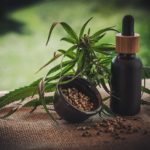 The Different Ways You Can Absorb CBD to Get the Best Results