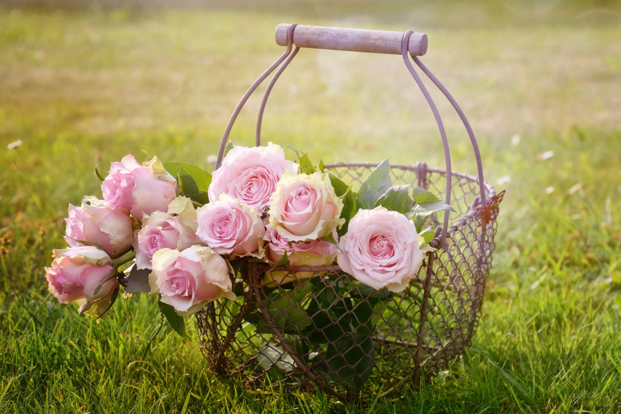 5 Occasions Where It's Appropriate to Give Pink Roses