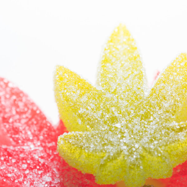 How Does CBD Make You Feel? Facts About CBD and Why It Doesn't Get You