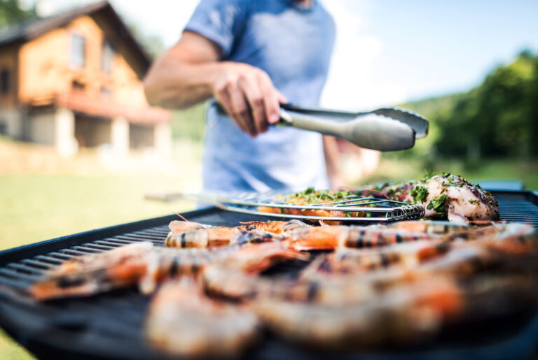 Grill Buying Guide How to Choose the Best Grill For You Terris