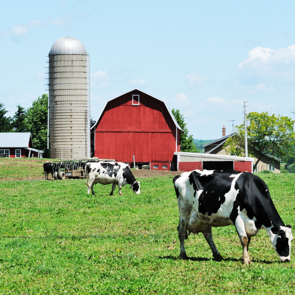 Planning to Start a Dairy Farm? Here’s How You can do it - Terris ...