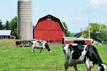 Planning to Start a Dairy Farm? Here’s How You can do it