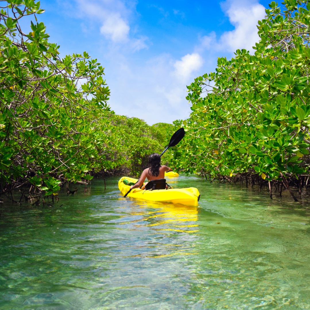 8 Tips for Beginners in Kayaking: Things to Know as a First-time Paddler