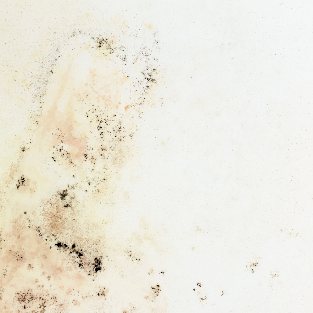 How To Prevent Damp Walls And Seepage During The Rainy Season? Terris