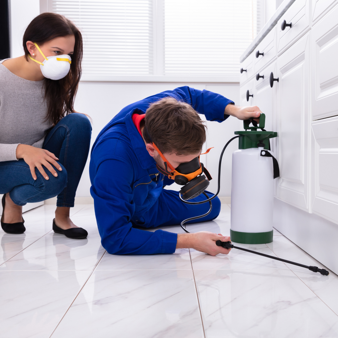 4 FACTORS TO CONSIDER WHILE HIRING PEST CONTROL SERVICES IN RICHMOND, VIC