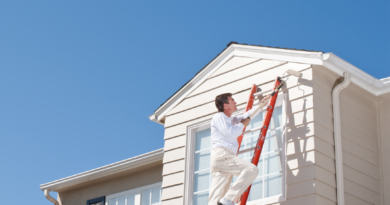 Why Should You Consider Hiring Professional House Painters in Allen, TX?