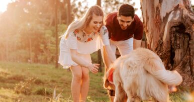 Navigating the World of Pet Ownership: How to Be the Best First-Time Pet Parent