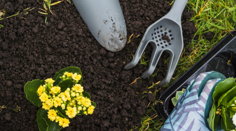 New Year, New Garden A Complete Guide To Take Up Gardening In 2024