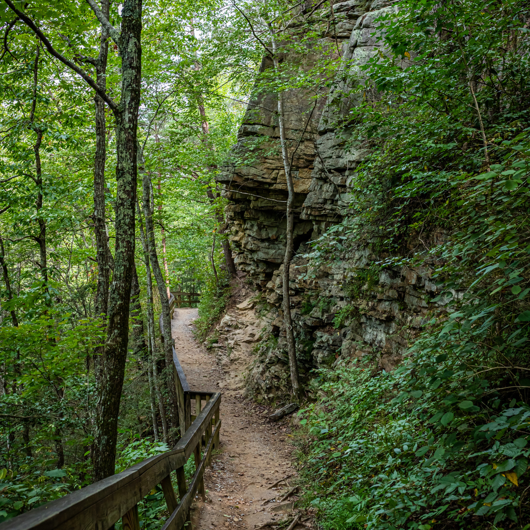 10 Enchanting Georgia State Parks for Kids and Why They're a Must-Visit