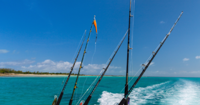 Hook, Line, and Sinker: Essential Tips for Successful Fishing in Papagayo's Deep Blue Sea