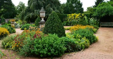 Landscaping Tips That Will Make Your Home Stand out From the Rest of the Neighborhood