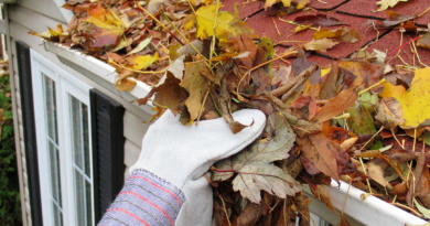 Mastering Home Maintenance: A Comprehensive Guide for Every Season