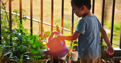 Are You Doing Enough To Keep Your Garden Healthy This Summer