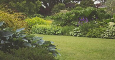 How to Add Privacy When Your Garden is Overlooked