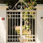 Investing for Beginners: Tools & Tips That Actually Work in 2026